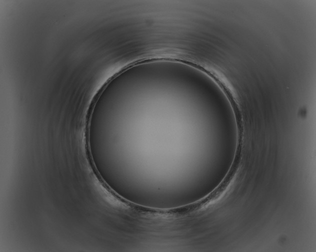 X0000096710941200802121222