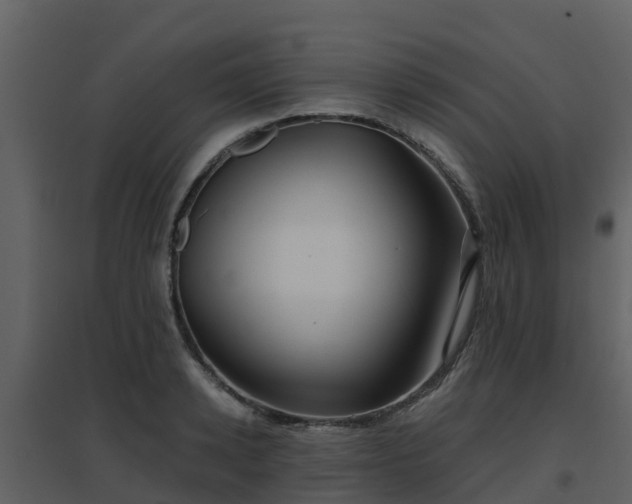 X0000096710942200802121222