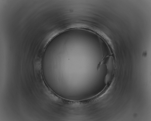 X0000096710945200802121222