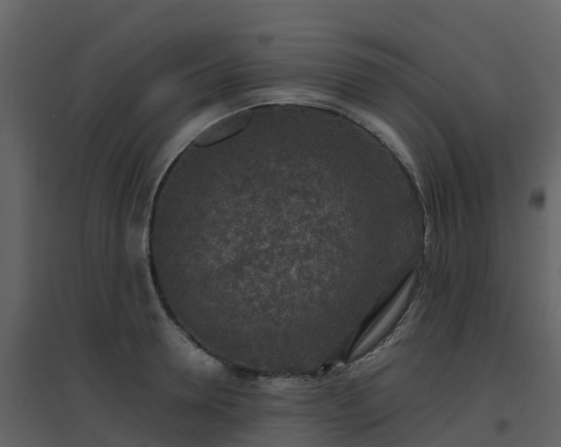 X0000096710946200802121222