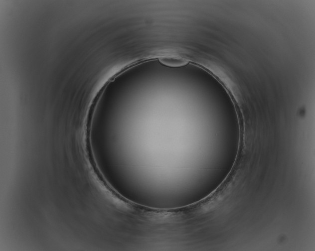 X0000096710949200802121222