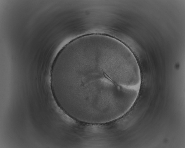 X0000096710950200802121222