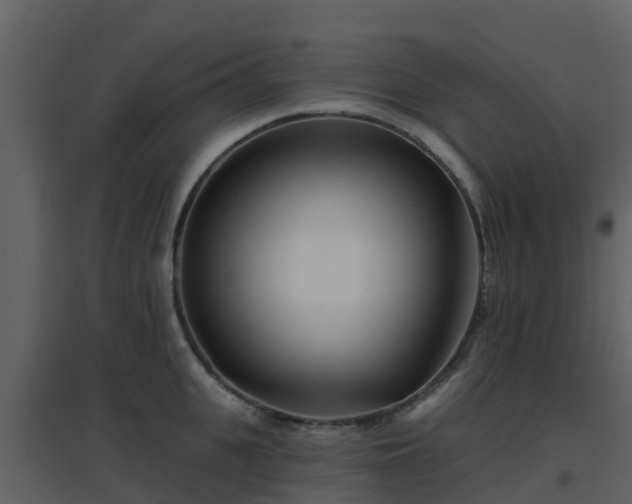 X0000096710951200802121222