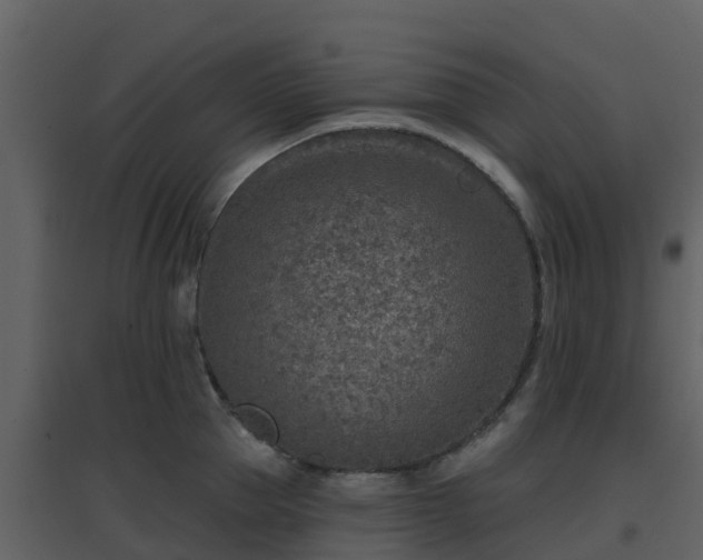 X0000096710953200802121222