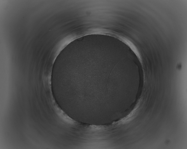 X0000096710954200802121222