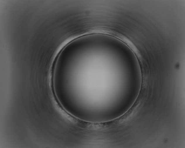 X0000096710955200802121222