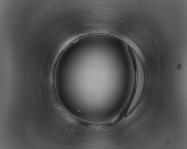 X0000096710956200802121222