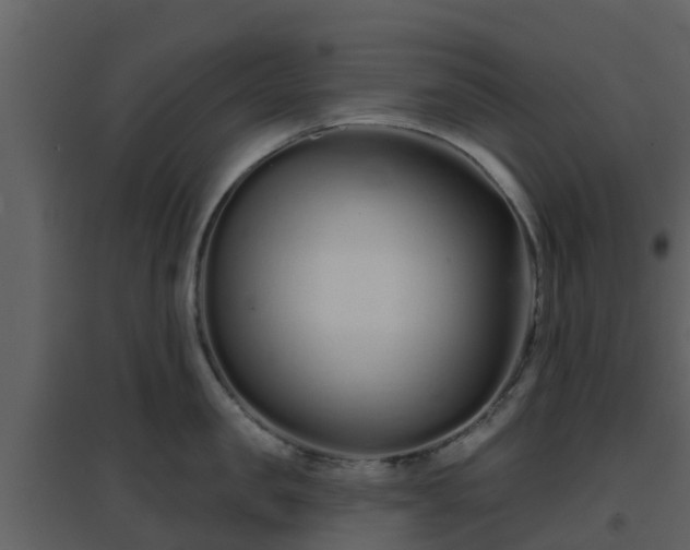 X0000096710957200802121222