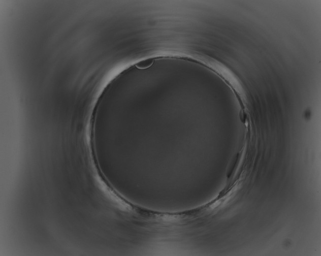 X0000096710958200802121222