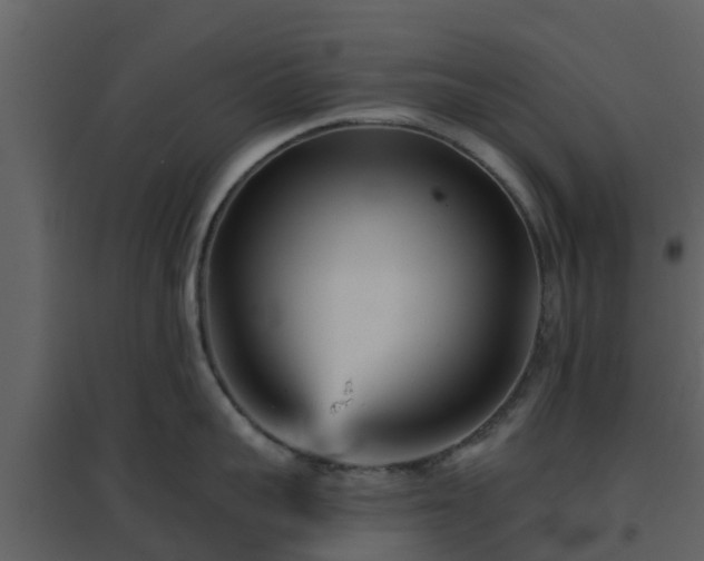 X0000096710959200802121222