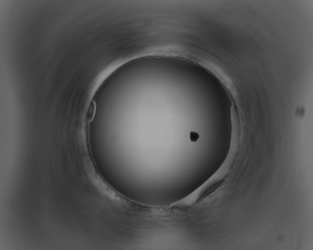 X0000096710960200802121222