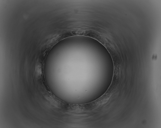 X0000096710962200802121222