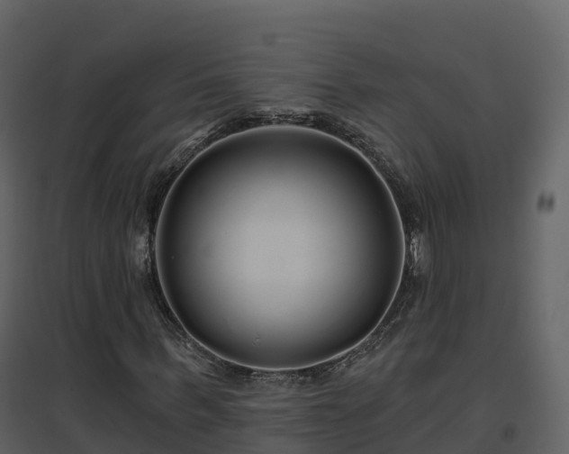 X0000096710963200802121221