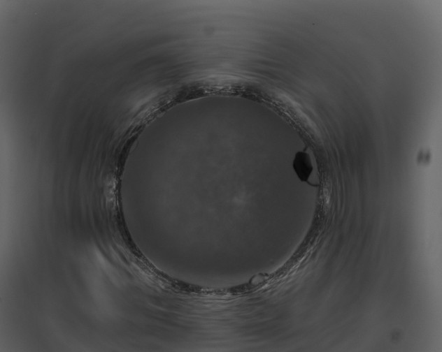 X0000096710964200802121221