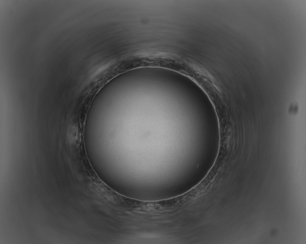 X0000096710966200802121221