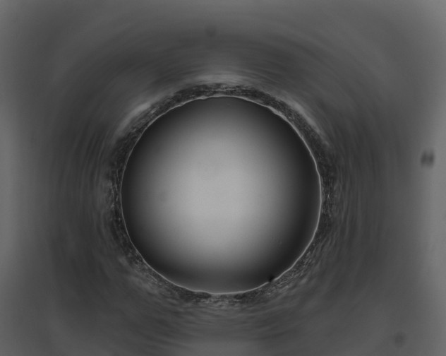 X0000096710967200802121221