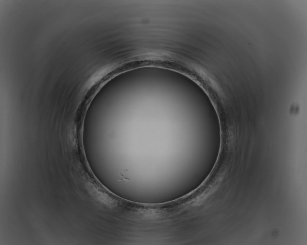 X0000096710970200802121221