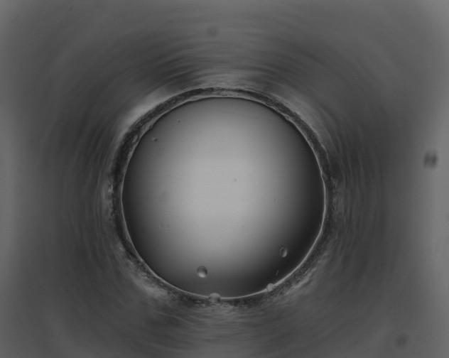 X0000096710971200802121221