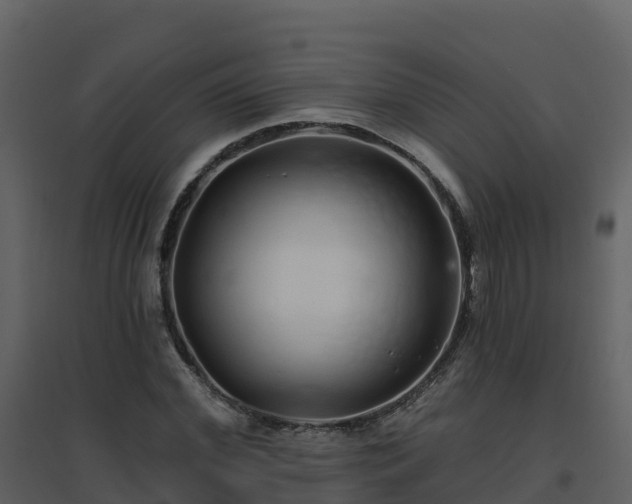 X0000096710972200802121221