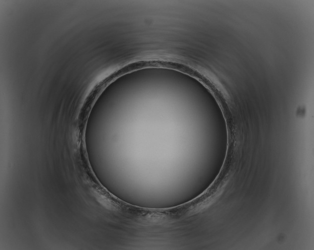 X0000096710974200802121221