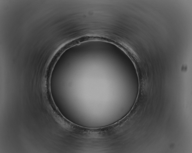 X0000096710976200802121221