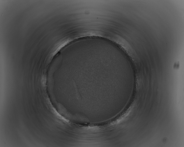 X0000096710977200802121221