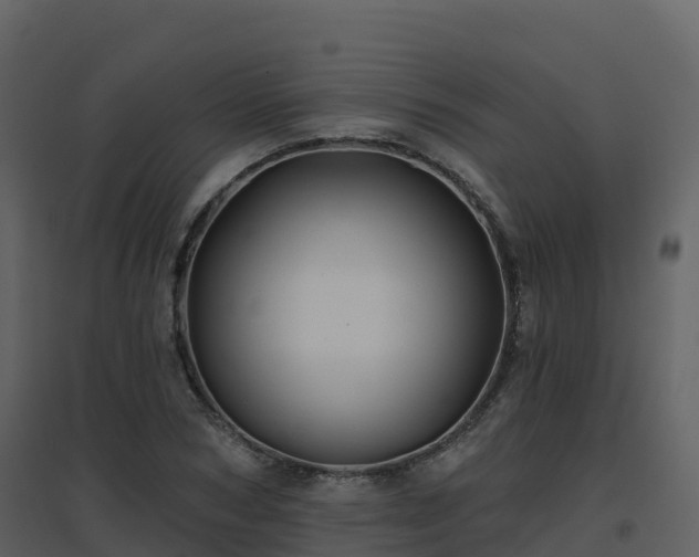 X0000096710978200802121221