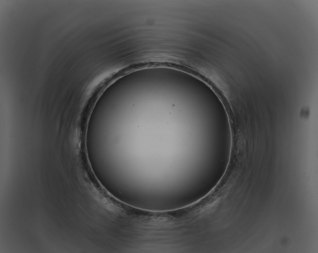 X0000096710979200802121221