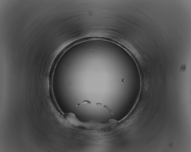 X0000096710980200802121221