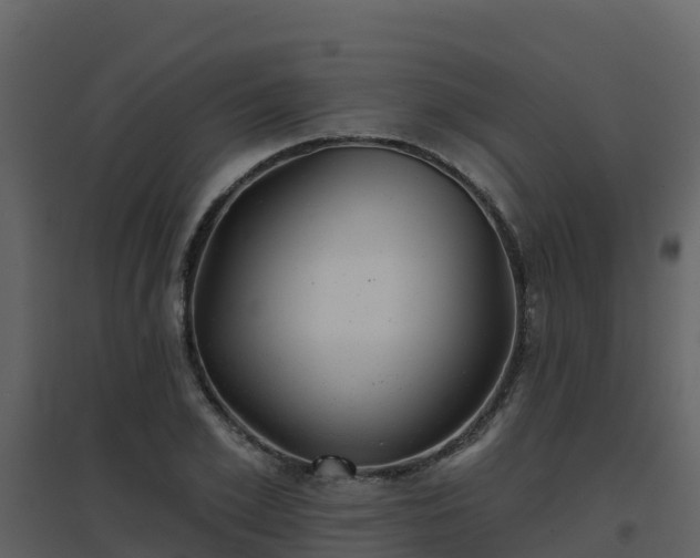 X0000096710981200802121221