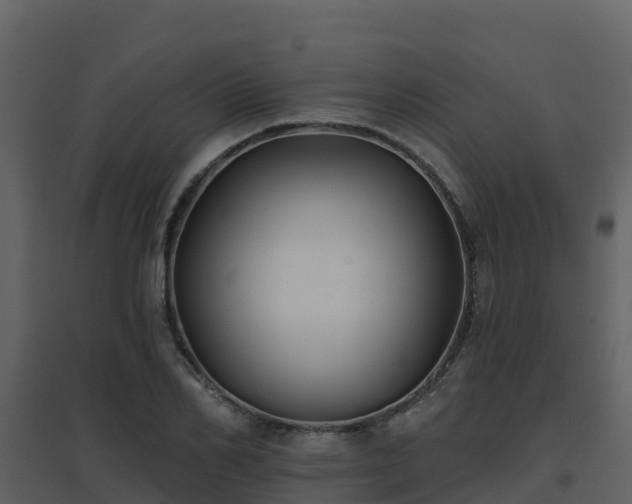 X0000096710982200802121221