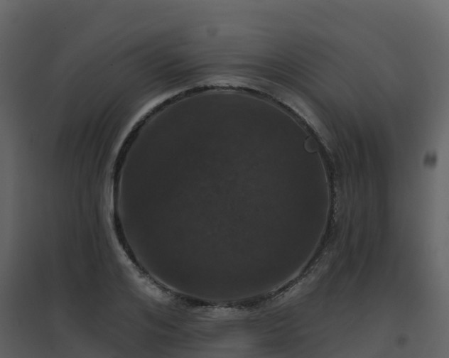 X0000096710984200802121221