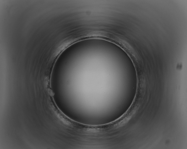 X0000096710985200802121221