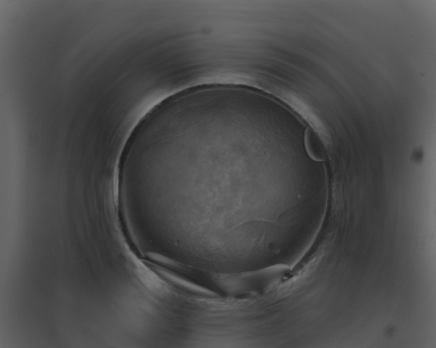 X0000096710988200802121221