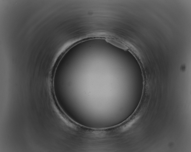 X0000096710989200802121221