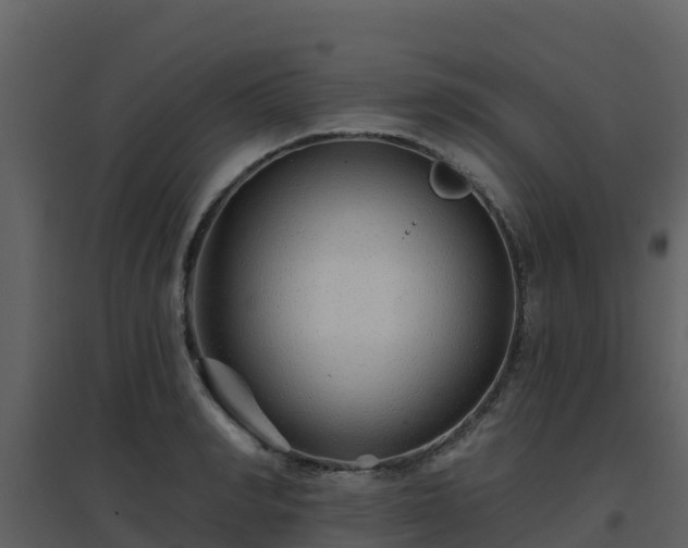 X0000096710990200802121221