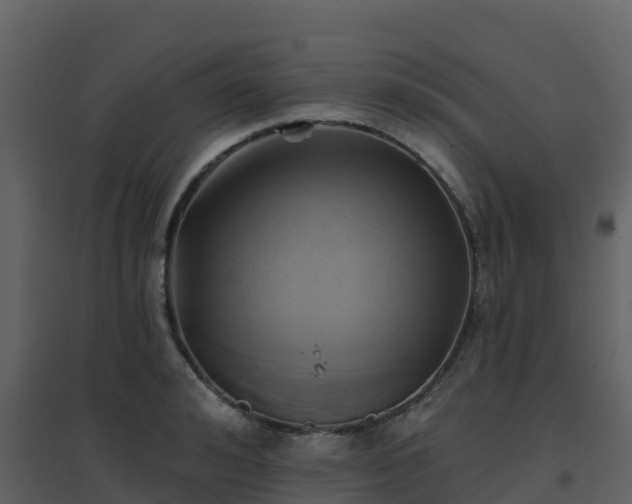 X0000096710992200802121221