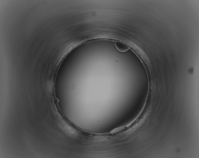 X0000096710993200802121221