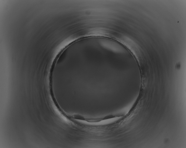 X0000096710995200802121221