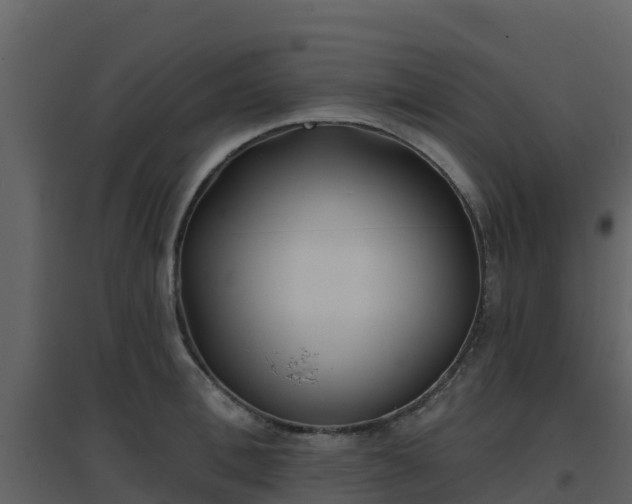 X0000096710996200802121221