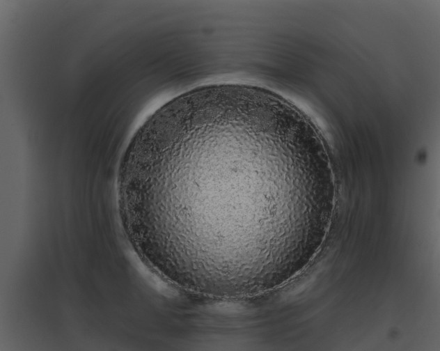 X0000096710998200802121221