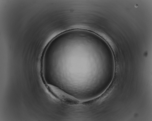 X0000096710999200802121221