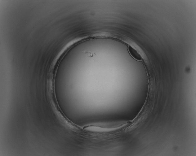 X0000096711000200802121221