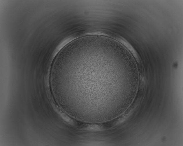 X0000096711002200802121221