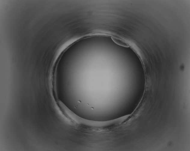 X0000096711003200802121221