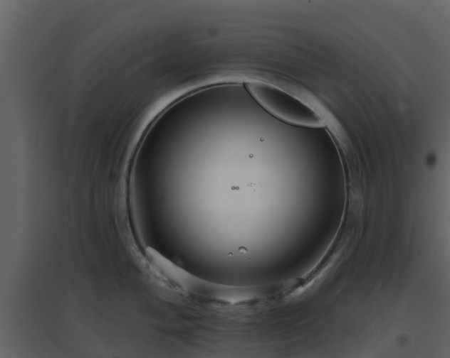 X0000096711004200802121221