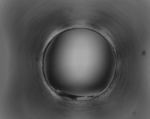 X0000096711005200802121221