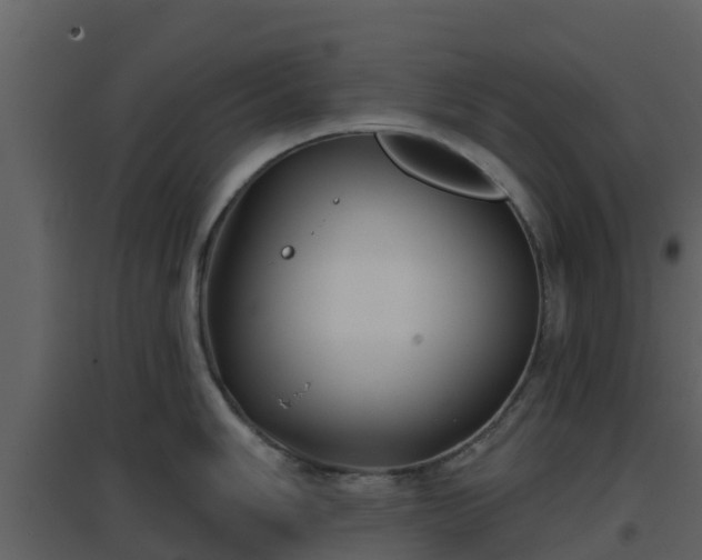 X0000096711006200802121221