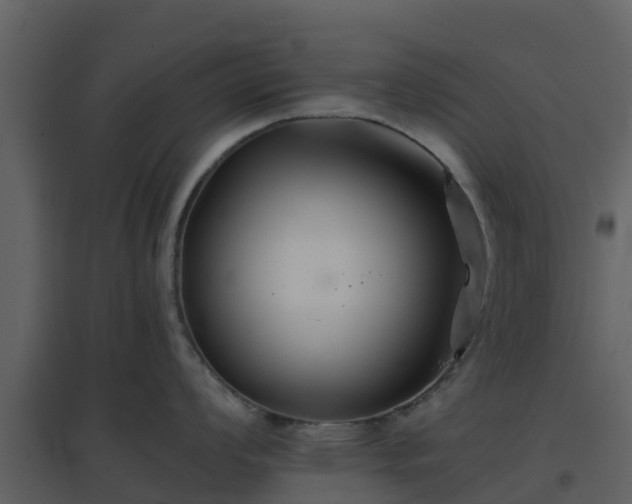 X0000096711008200802121221