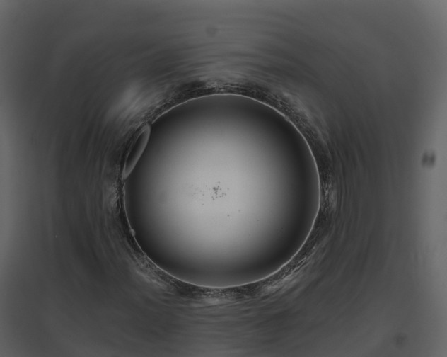 X0000096711012200802121220